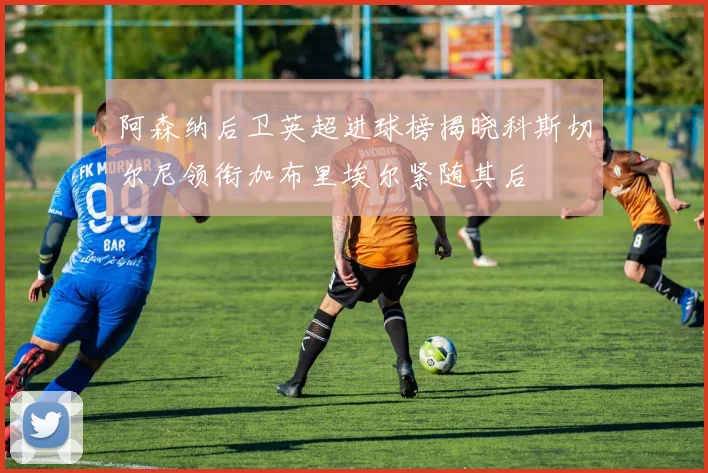 阿森纳后卫英超进球榜揭晓科斯切尔尼领衔加布里埃尔紧随其后
