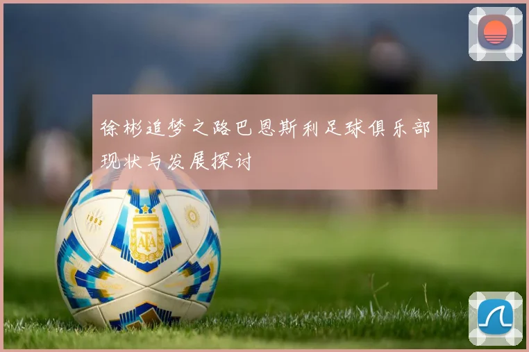 徐彬追梦之路巴恩斯利足球俱乐部现状与发展探讨